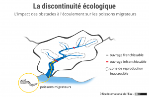La discontinuité écologique des cours d'eau