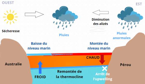 Phénomène El Niño